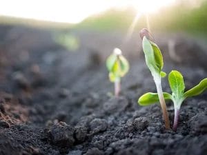 recycling center 11l 1920w